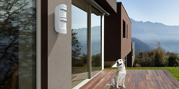 motion-protect-out-3-600x300