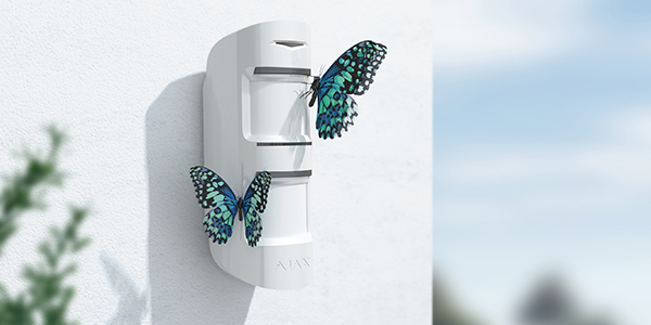 motion-protect-out-papillonst-600x300